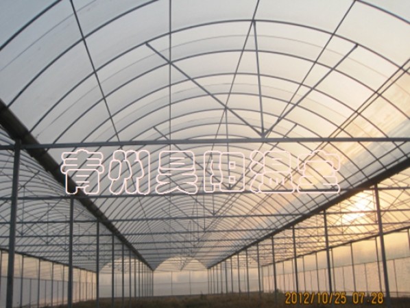 Intelligent multi-span greenhouse